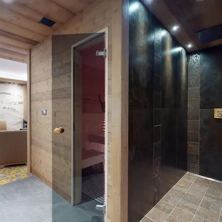 Les Congeres Chalet *